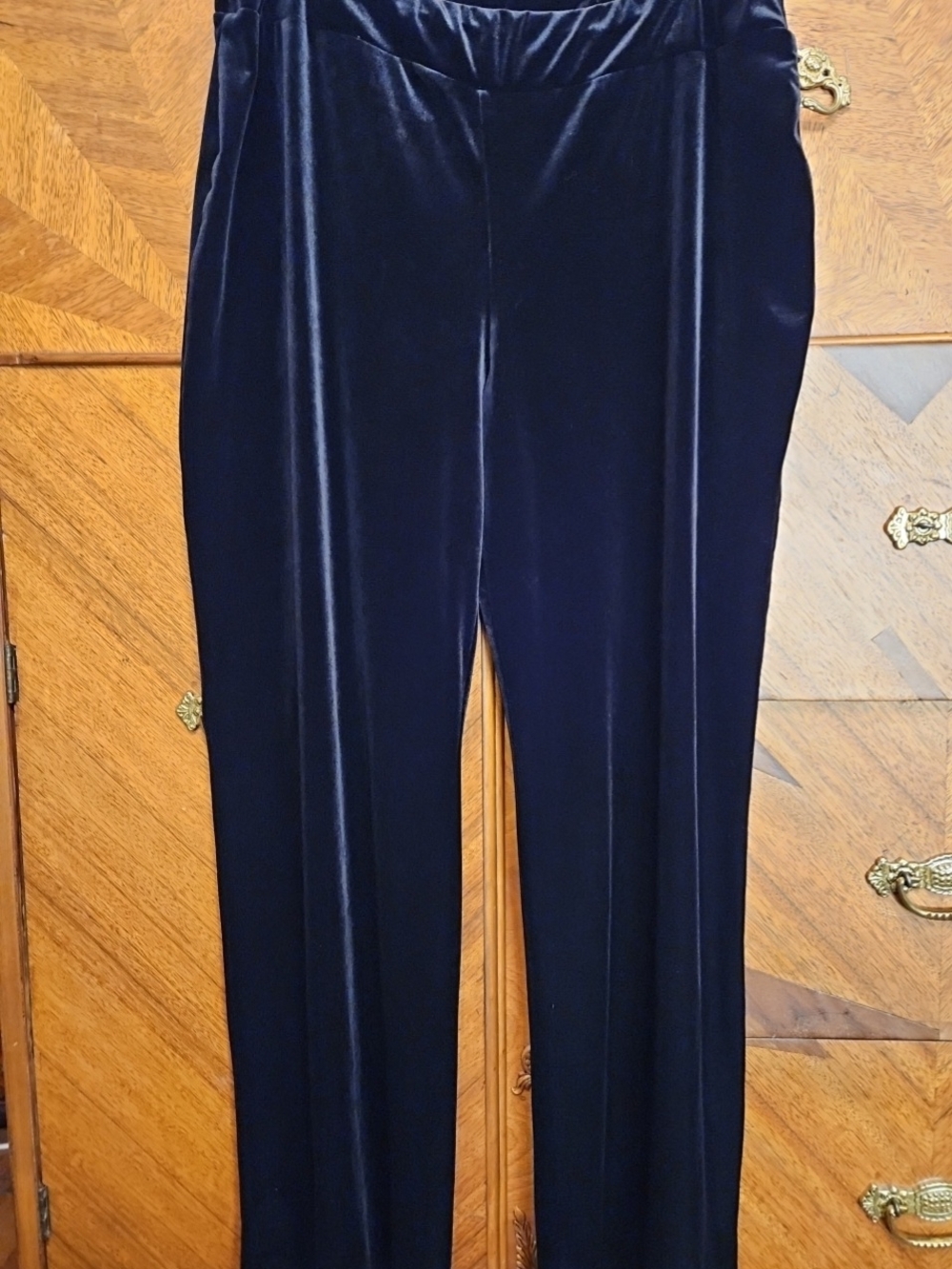 Badgley Mischka Size XL Women's Navy Velvet Pull-On Pants